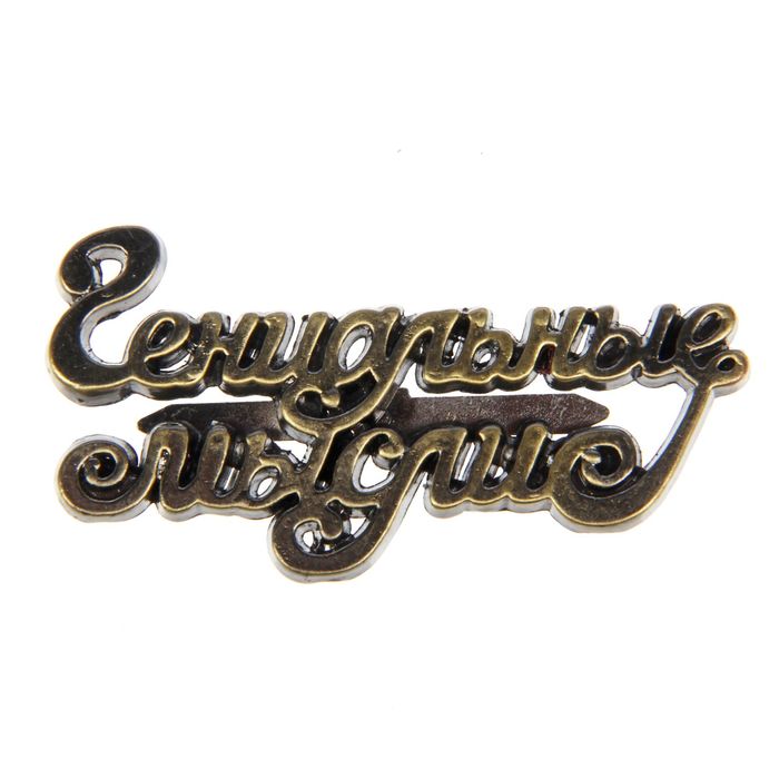 Декор металлический "Гениальные мысли", 5 х 2,5 см