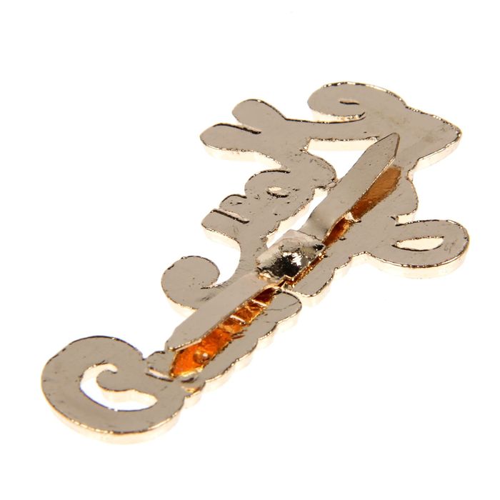 Декор металлический "Мои записи", 5 х 3 см