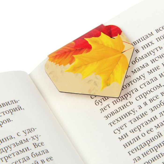 Закладка магнитная "Самому лучшему учителю"