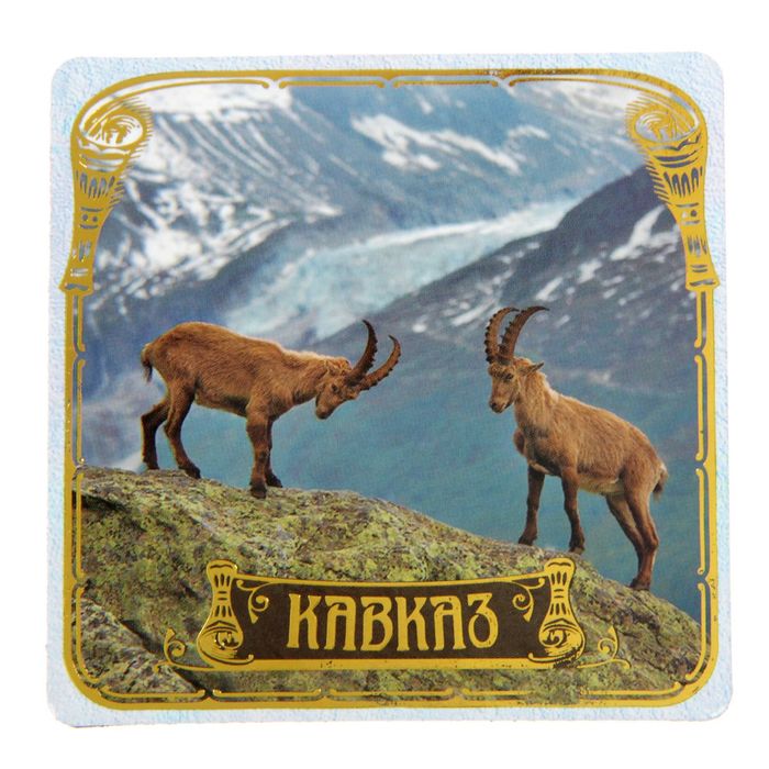 Магнит полимерный "Кавказ"