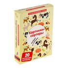 Развивающие карточки-пазлы «Картинки-сортеры. Найди и собери весёлые картинки», 20 карточек Развивающие карточки-пазлы «Картинки-сортеры. Найди и собери весёлые картинки», 20 карточек