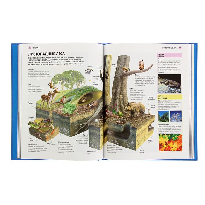 Атлас мира для школьников