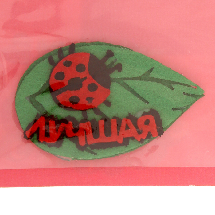 Набор для декорирования № 48