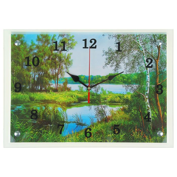 Часы настенные прямоугольные "Природа", 25х35 см микс