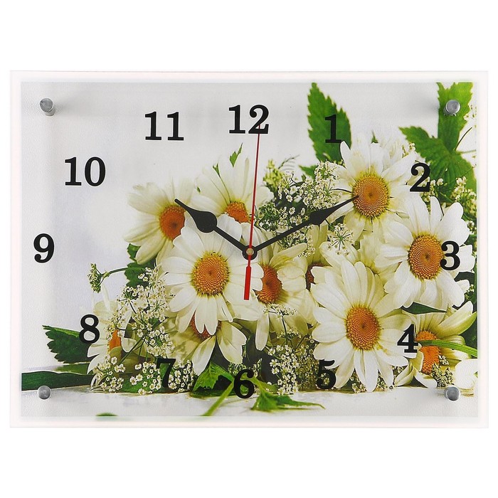 Часы-картина настенные, серия: Цветы, Ромашки, 30х40 см
