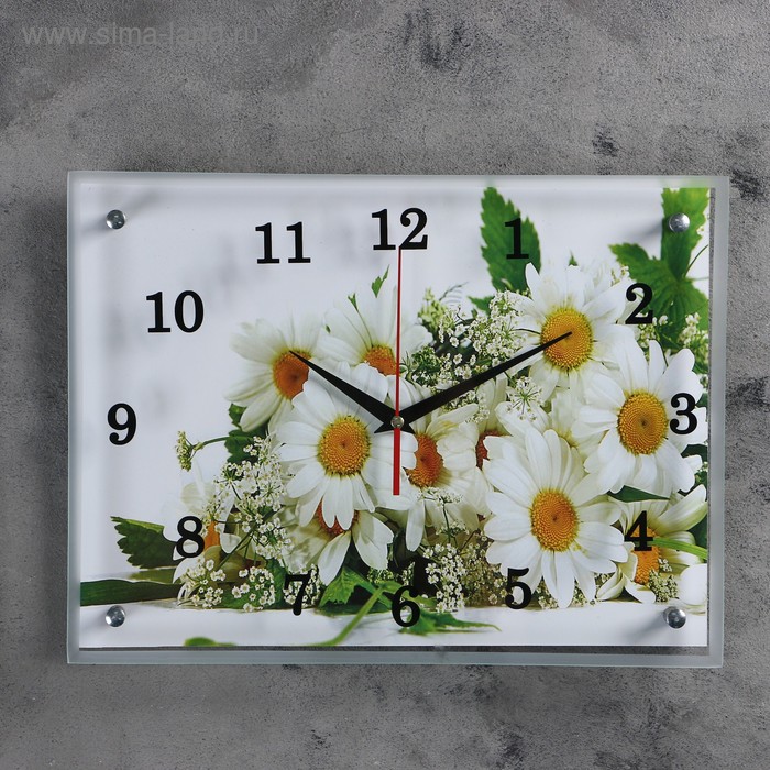Часы-картина настенные, серия: Цветы, Ромашки, 30х40 см