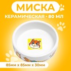 Миниатюра