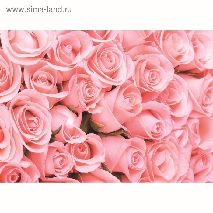Фотообои К-116 «Романтика» (8 листов), 280 × 200 см