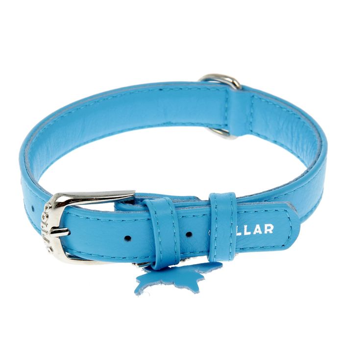 Ошейник неукрашенный CoLLaR Glomour, 30-39 х 2 см, синий