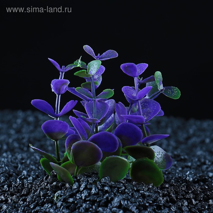 Растение искусственное аквариумное кустовое, 10 см, фиолетовое