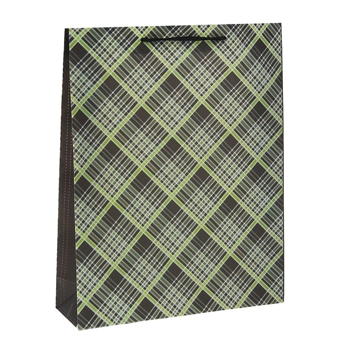 Пакет пластиковый "Клетка" 18 х 22 х 7,5 см