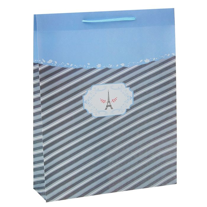 Пакет пластиковый "Париж" 23 х 27 х 8 см, синий
