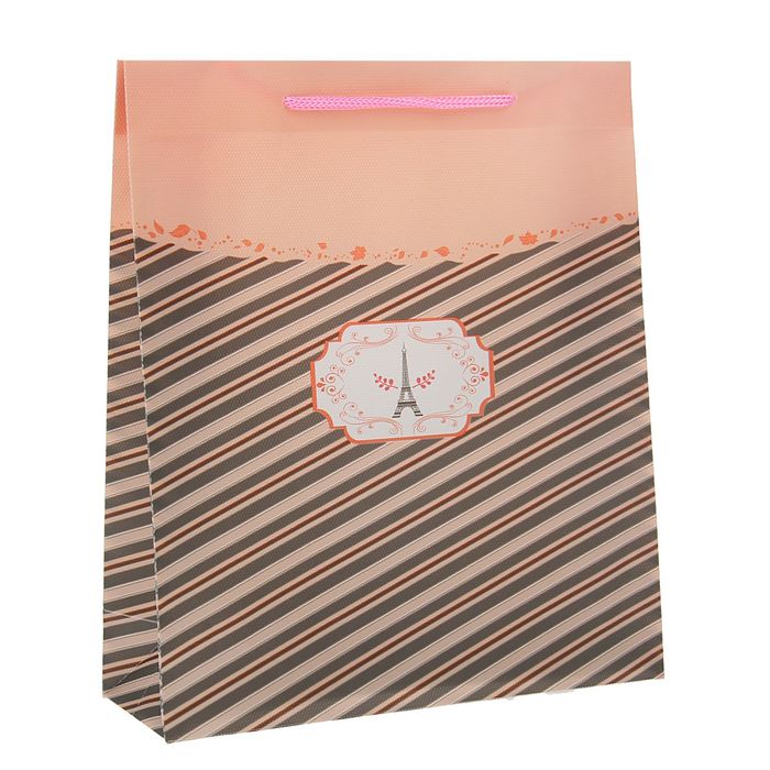 Пакет пластиковый "Париж" 31 х 39 х 9 см, бежевый