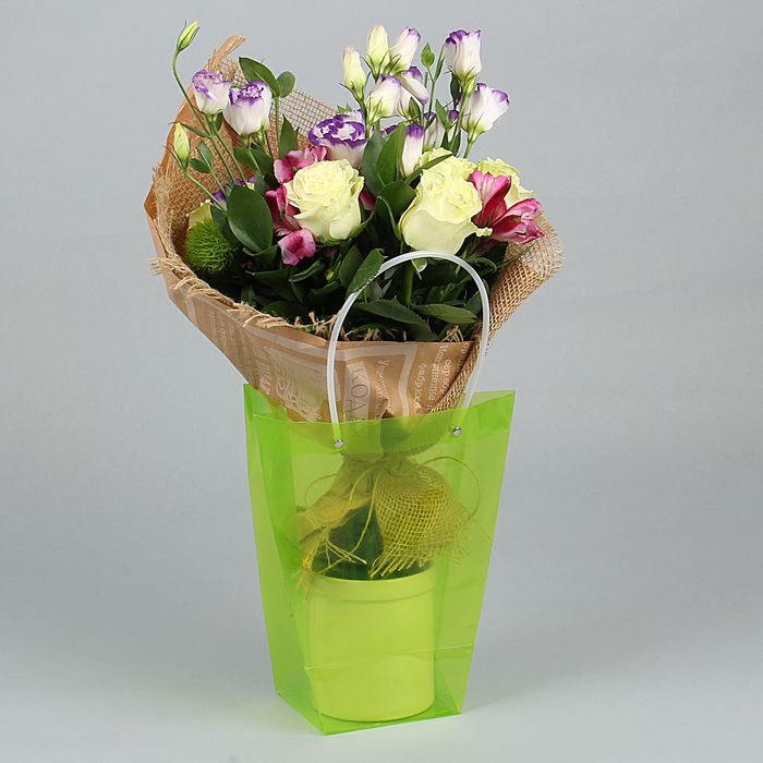 Переноска для цветов 20 х 17,5 х 10 см, зеленый