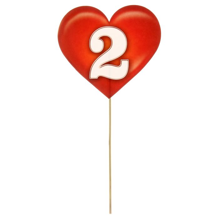 Фотобутафория "Дата свадьбы"