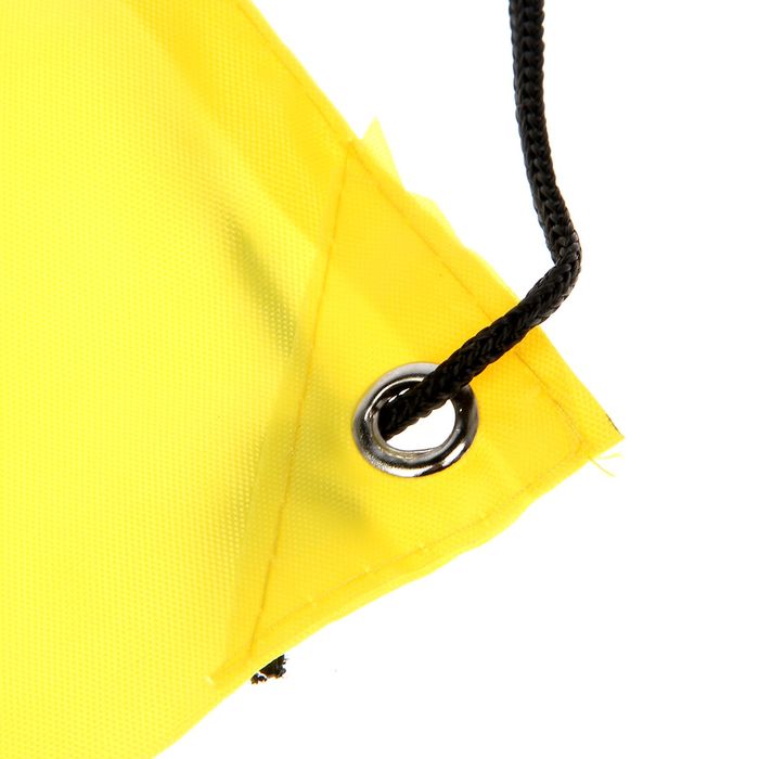 Сумка-рюкзак для обуви "Ношу счастье", 43 х 38 см