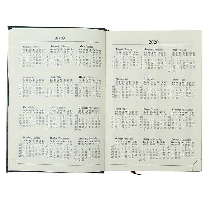 Ежедневник полудатированный, формат А5,192 листа, линия, золотой срез, перфорированный угол, ляссе, тёмно-зеленый