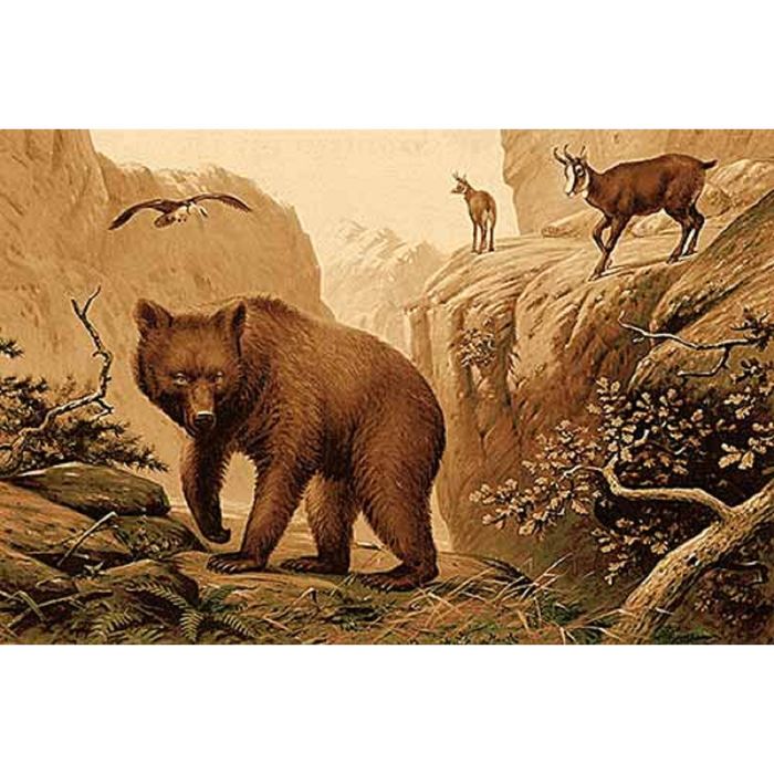 Ковер Heat-set DA VINCI z901, 2*3 м, прямоугольный, BROWN