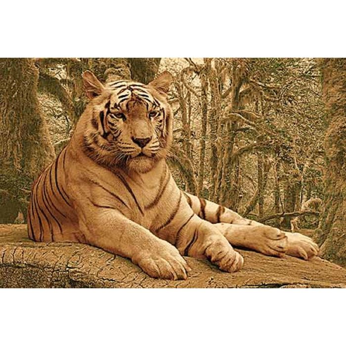 Ковер Heat-set DA VINCI z902, 2*3 м, прямоугольный, BROWN