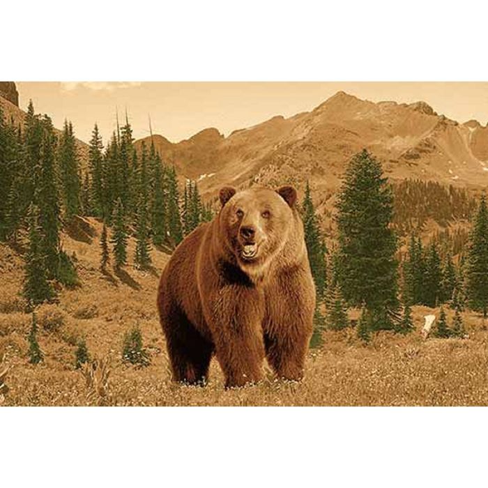 Ковер Heat-set DA VINCI z903, 2*3 м, прямоугольный, BROWN