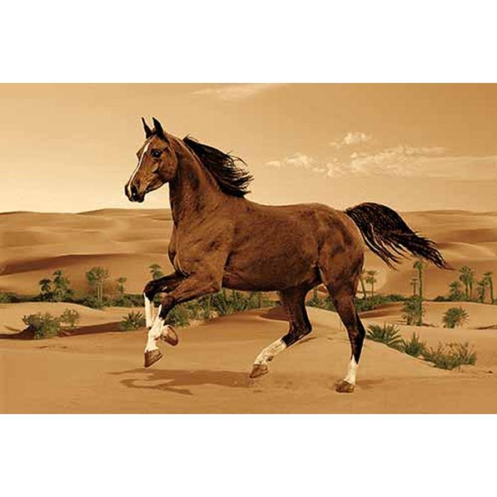 Ковер Heat-set DA VINCI z904, 2*3 м, прямоугольный, BROWN