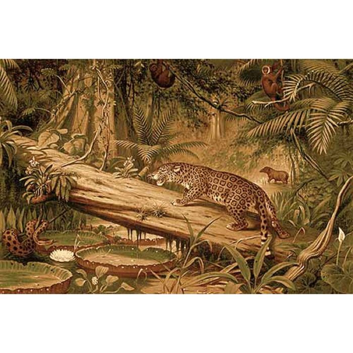 Ковер Heat-set DA VINCI z905, 2*3 м, прямоугольный, BROWN