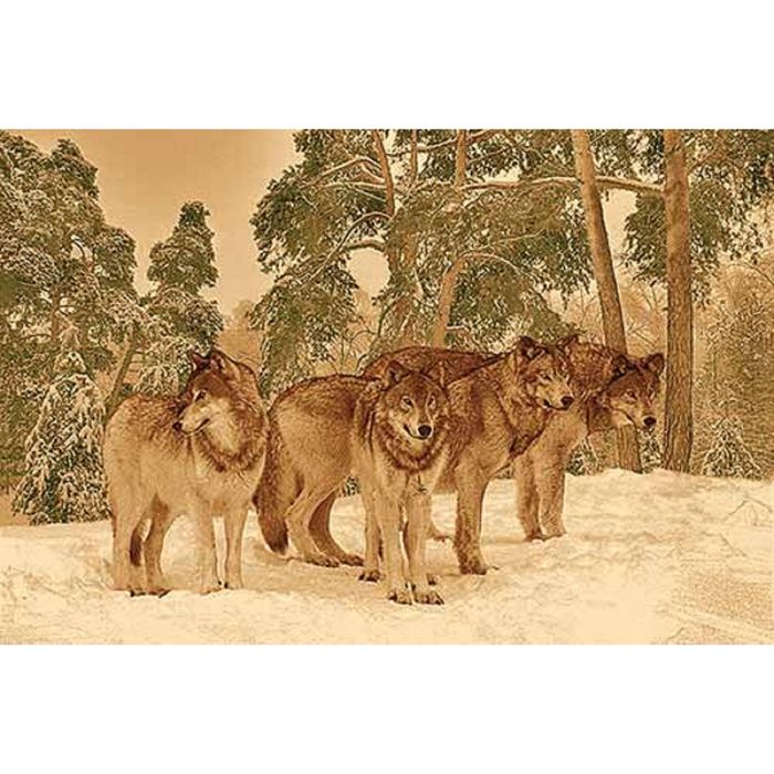 Ковер Heat-set DA VINCI z907, 2*1,4 м, прямоугольный, BROWN