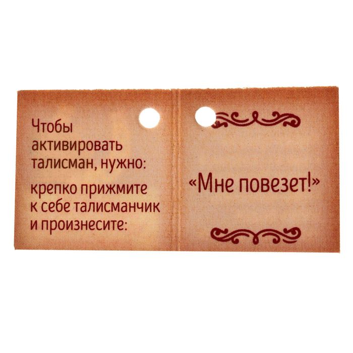 Талисман "Приношу удачу"