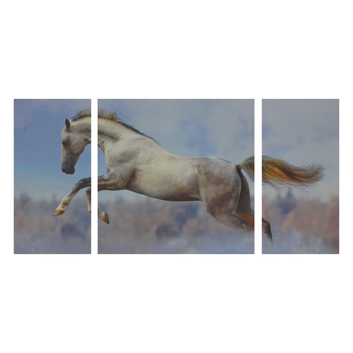 Модульная картина на подрамнике "Конь", 2 шт. — 30×60 см, 1 шт. — 60×60 см
