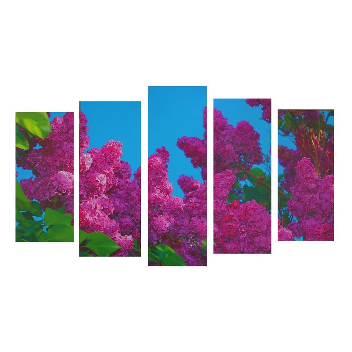 Модульная картина на подрамнике "Сирень", 2 шт. — 25×55 см, 2 шт. — 25×65 см, 25×75 см, 125×75 см