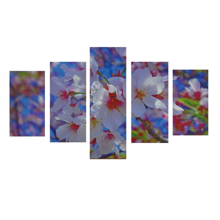 Модульная картина на подрамнике "Сакура в цвету", 2 — 25×45 см, 2 — 25×55, 1 — 25×75, 125×75 см