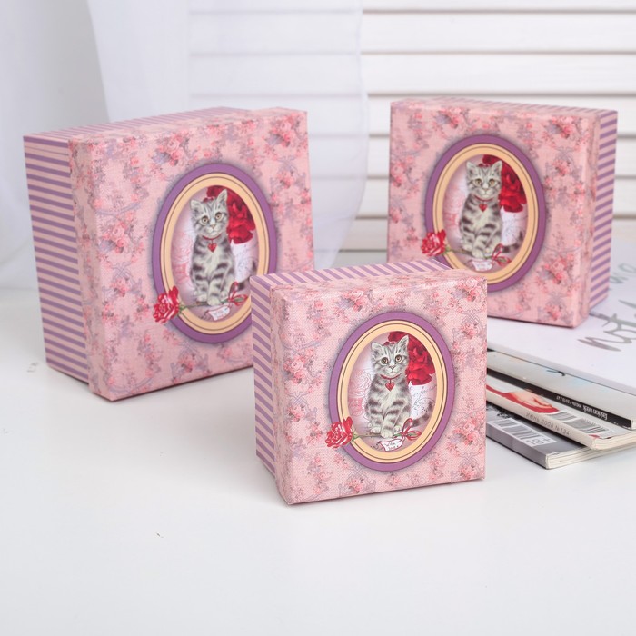 Набор коробок 3в1 "Кот", 13,5 х 13,5 х 8 - 9,5 х 9,5 х 6 см