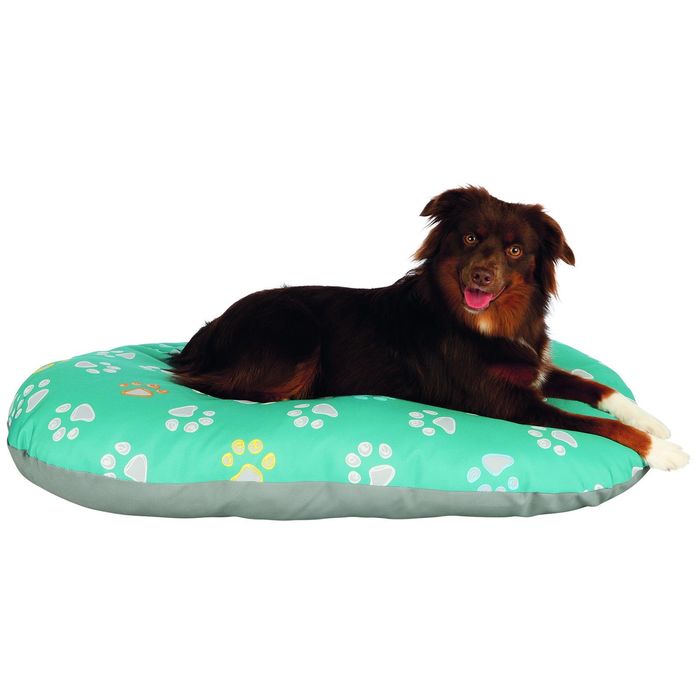 Лежак Jimmy, 80 x 50 см, бирюзовый / серый