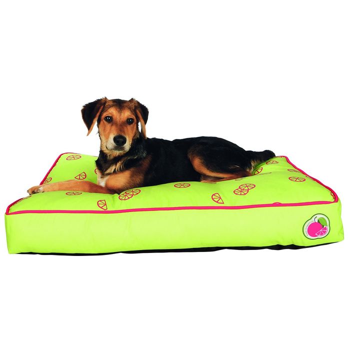 Лежак Fresh Fruits,  90 x 65 см, цвет лайма