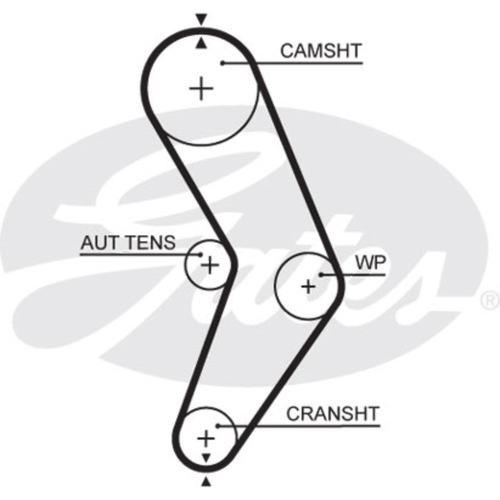 Ремень ГРМ Gates 5662XS
