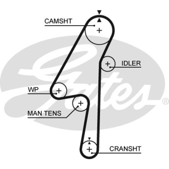 Ремень ГРМ Gates 5580XS