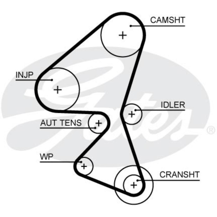 Ремень ГРМ Gates 5656XS