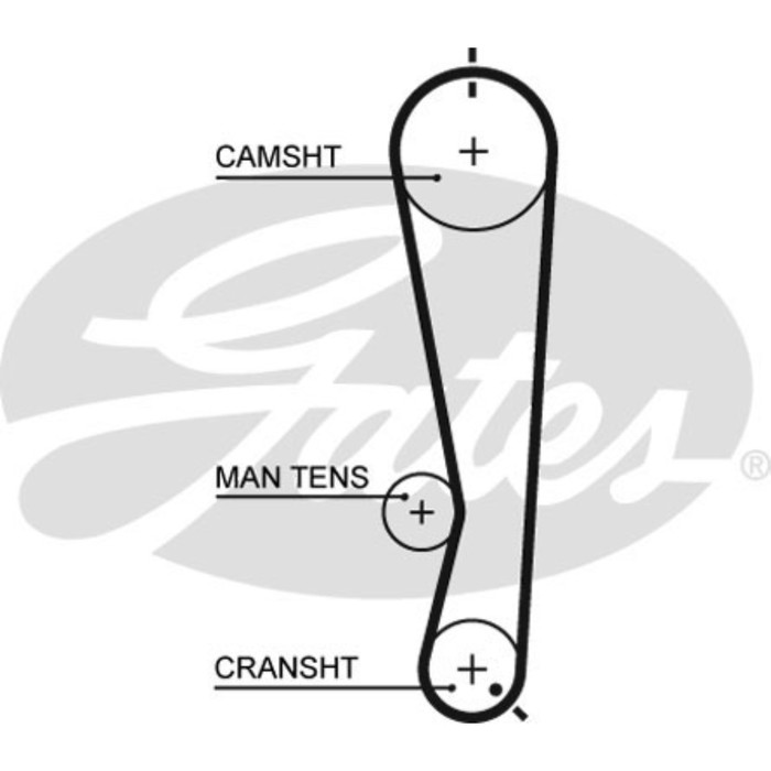 Ремень ГРМ Gates 5591XS