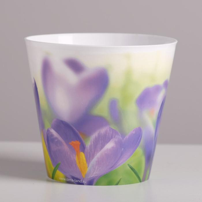 Кашпо 800 мл "Крокусы"