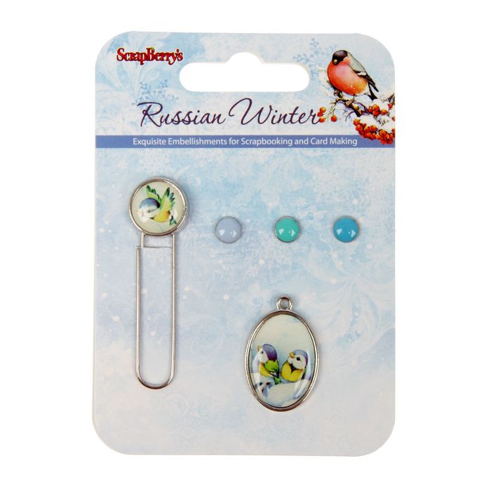 Набор брадсов со скрепкой "Русская Зима. Птички" 5 шт.