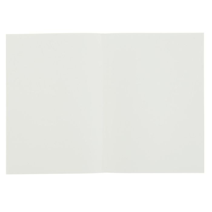 Блокнот для рисунков А5 80 г/м2 Clairefontaine Zap Вook 160 листов, склейка , 4вида 3358С