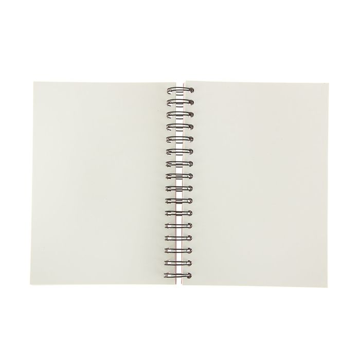 Блокнот для рисунков А5 80 г/м2 Clairefontaine Zap Вook 160 листов, спираль , 4 вида 8355С