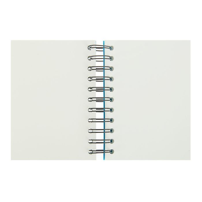 Блокнот для рисунков А6 80 г/м2 Clairefontaine Zap Вook 160 листов, спираль, 4 вида 8359С