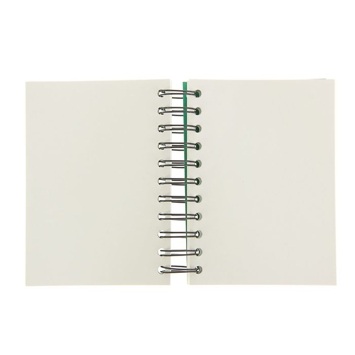 Блокнот для рисунков А6 80 г/м2 Clairefontaine Zap Вook 160 листов, спираль, 4 вида 8353С