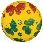 Мяч детский «Бабочки», d=22 см, 60 г, МИКС
