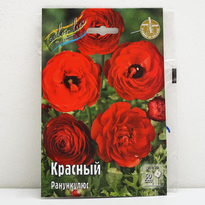 

Ранункулюс КРАСНЫЙ, р-р 6/7, 10 шт