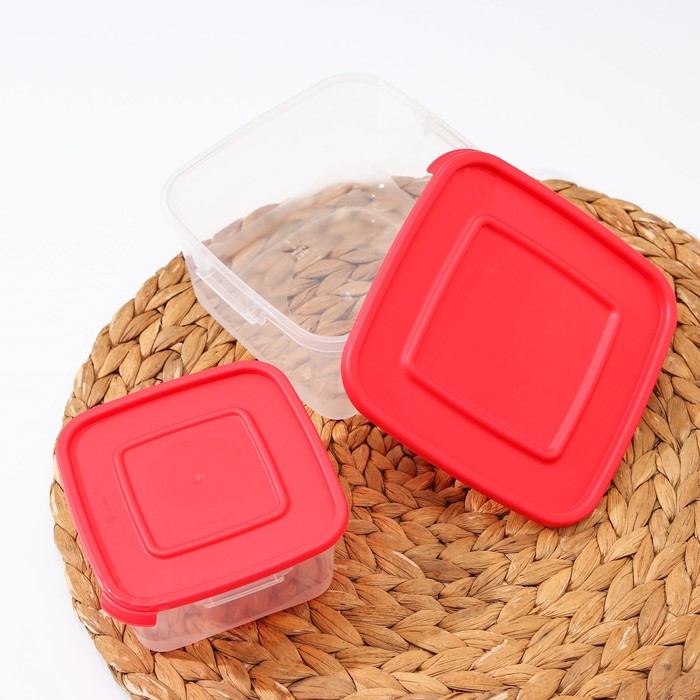 Набор пищевых контейнеров "Каскад", 2 шт: 460 мл; 1 л, цвет МИКС