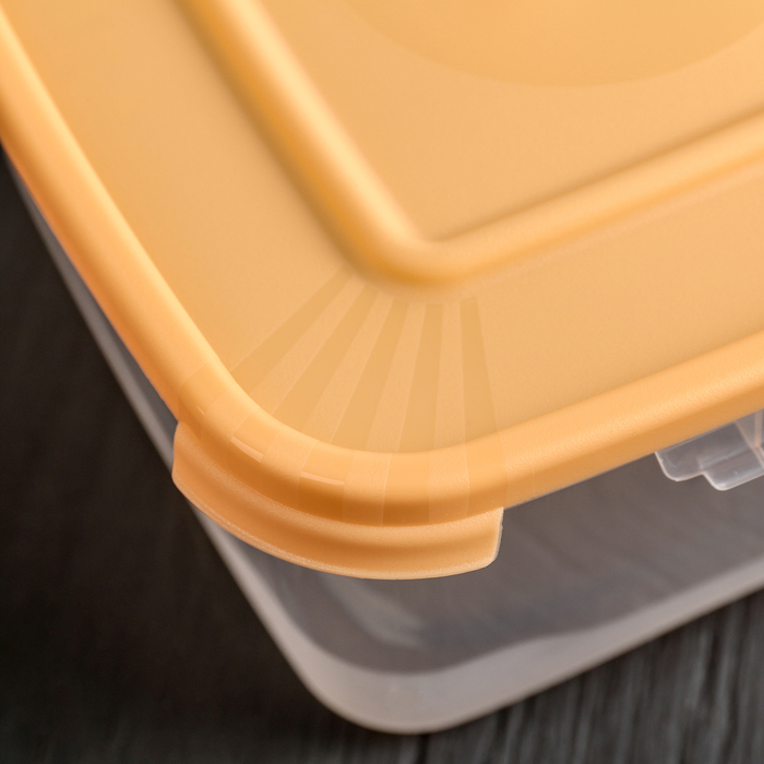 Набор пищевых контейнеров 1 л "Каскад", 3 шт, цвет МИКС