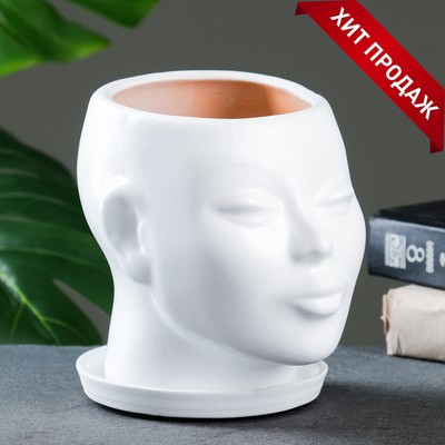 Горшок - органайзер