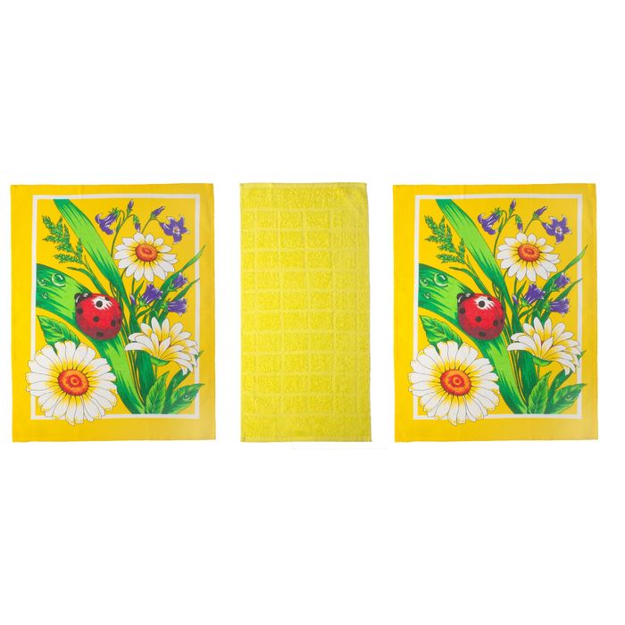 Набор кухонных полотенец - 3 шт., цвет МИКС (45х60 см-2 шт., вафля; 30х60 см-1 шт., махра)